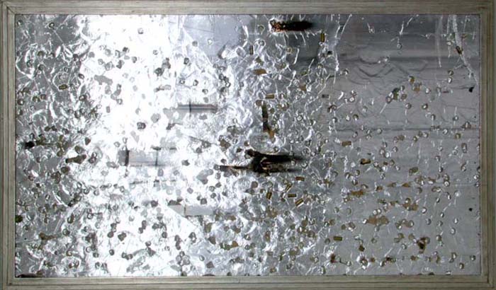 eXile Series, 2005, shell castings and heel marks on foil-faced foam, 60x30in